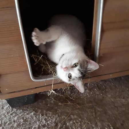 Willa De Blinker Knokke-Heist Zewnętrze zdjęcie