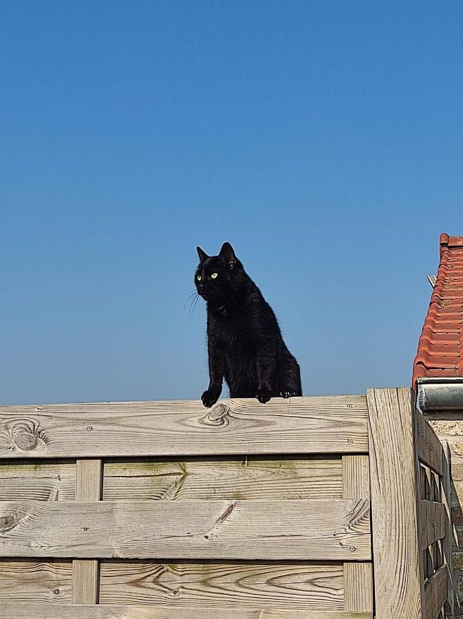 Willa De Blinker Knokke-Heist Zewnętrze zdjęcie